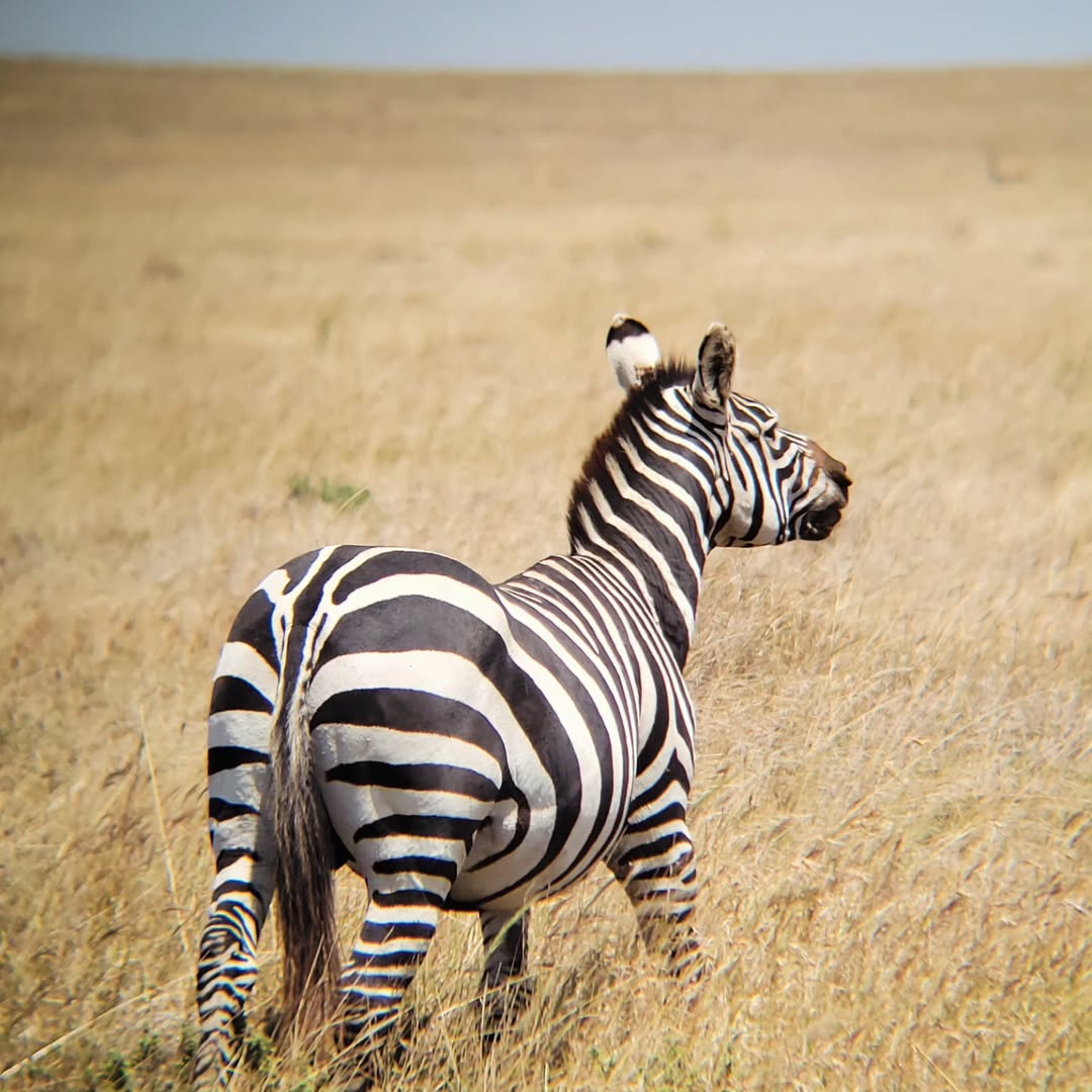 Arusha National Park
