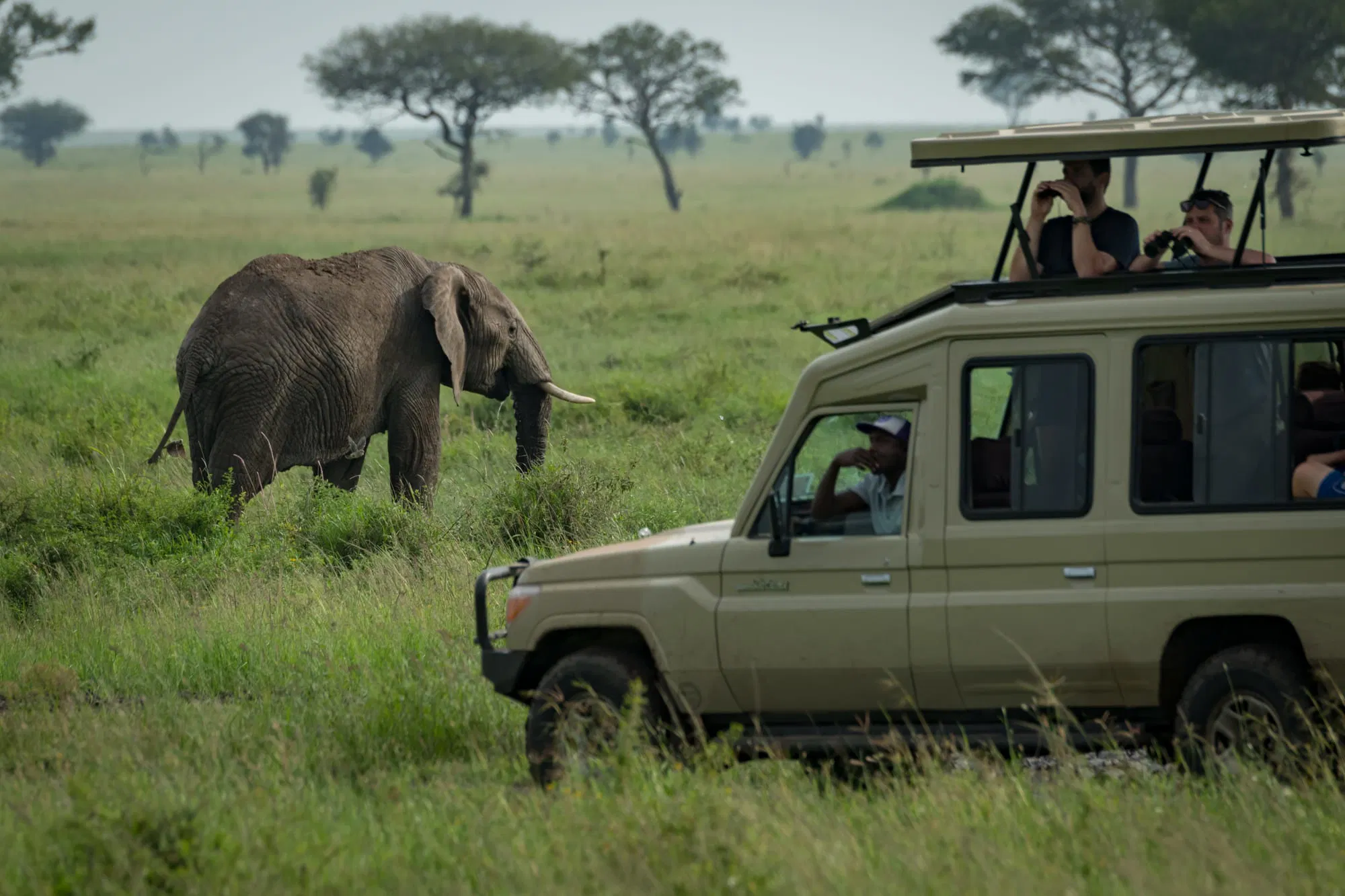 5 Days / 4 Nights Safari Budget Camping in Tanzania