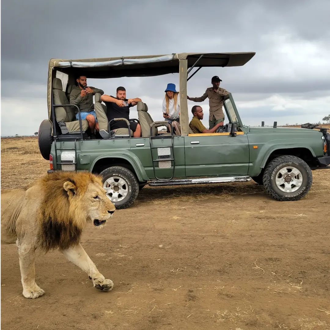 Group Safaris