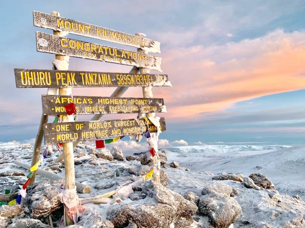 Lemosho Route scenery